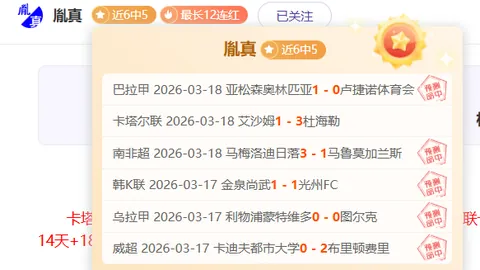 轮椅网球：亚残运赛场风采——央视体育报道